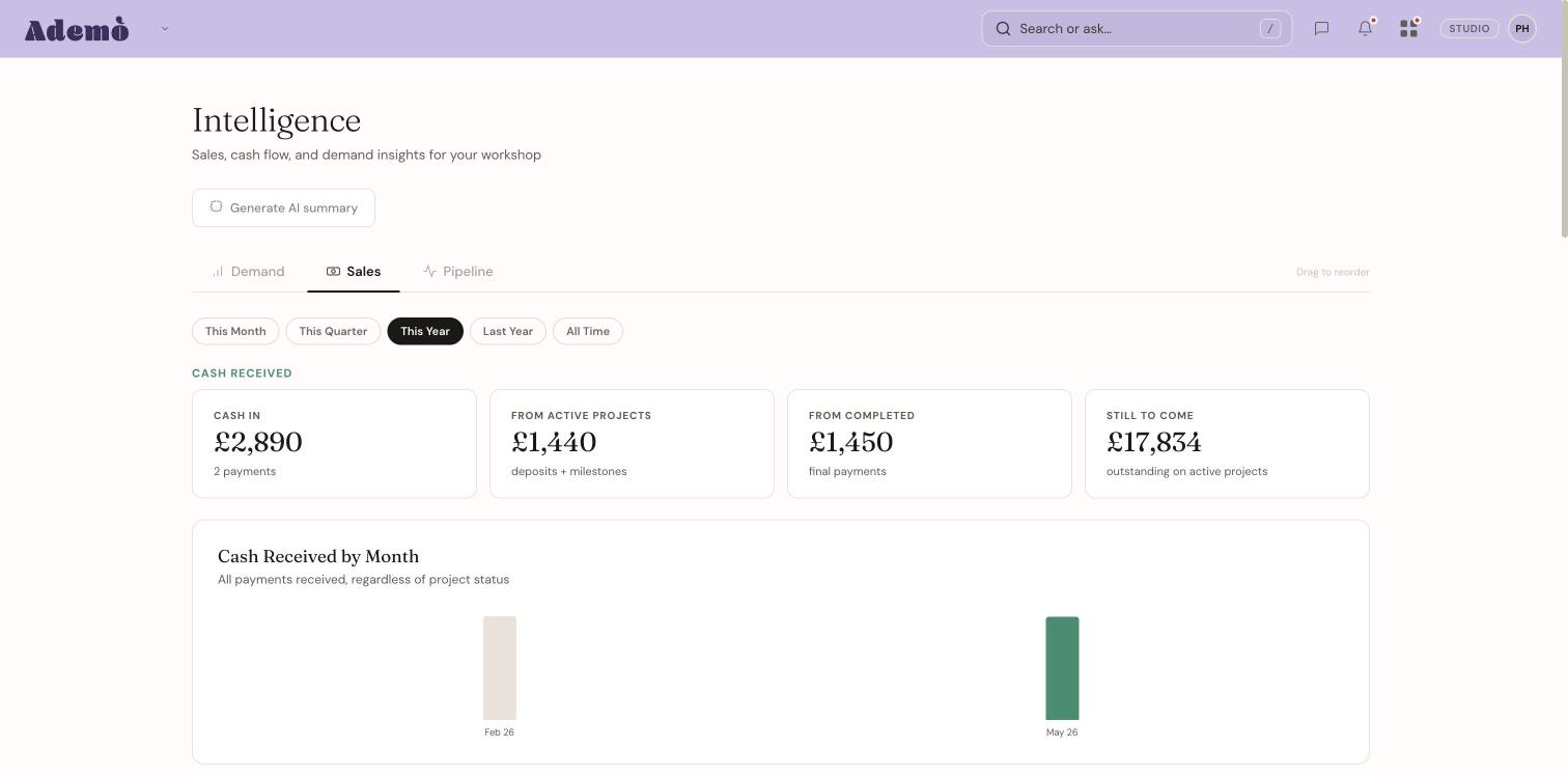 Vidual Intelligence showing cash received and monthly revenue